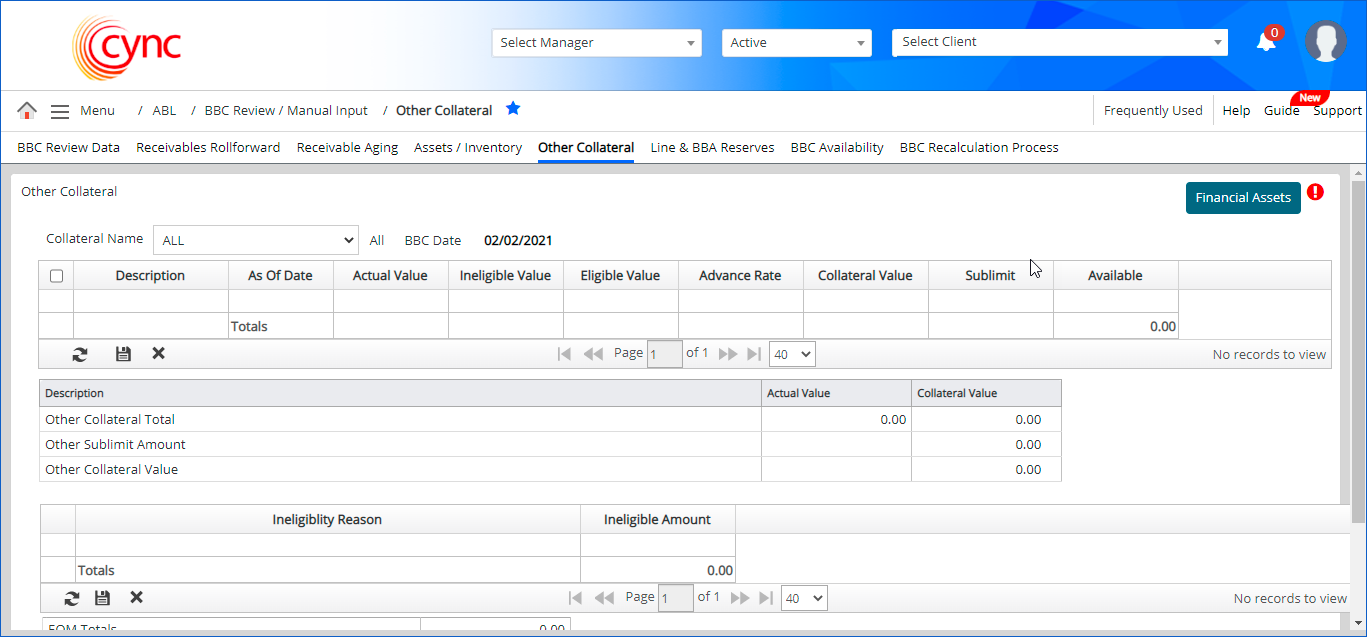 Other Collateral page - Financial Assets