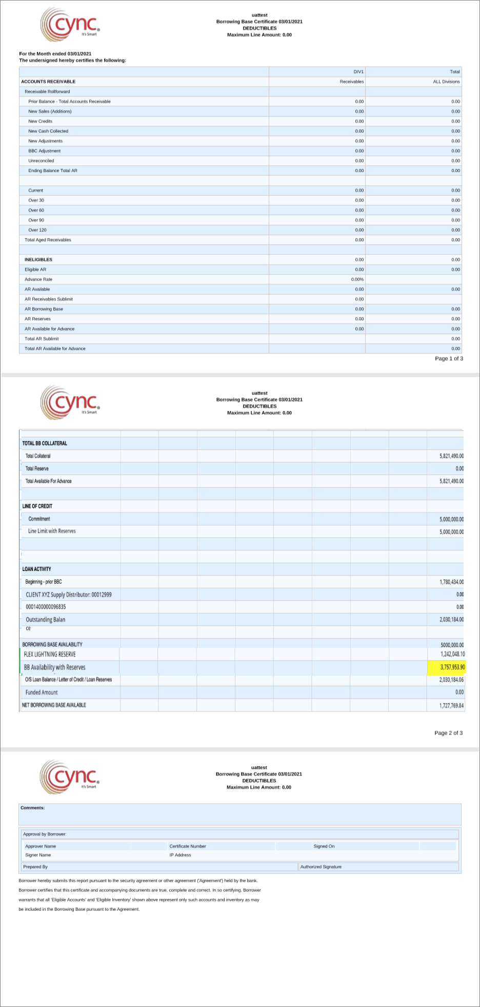Borrowing base certificate report PDF format