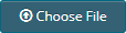 Choose file button