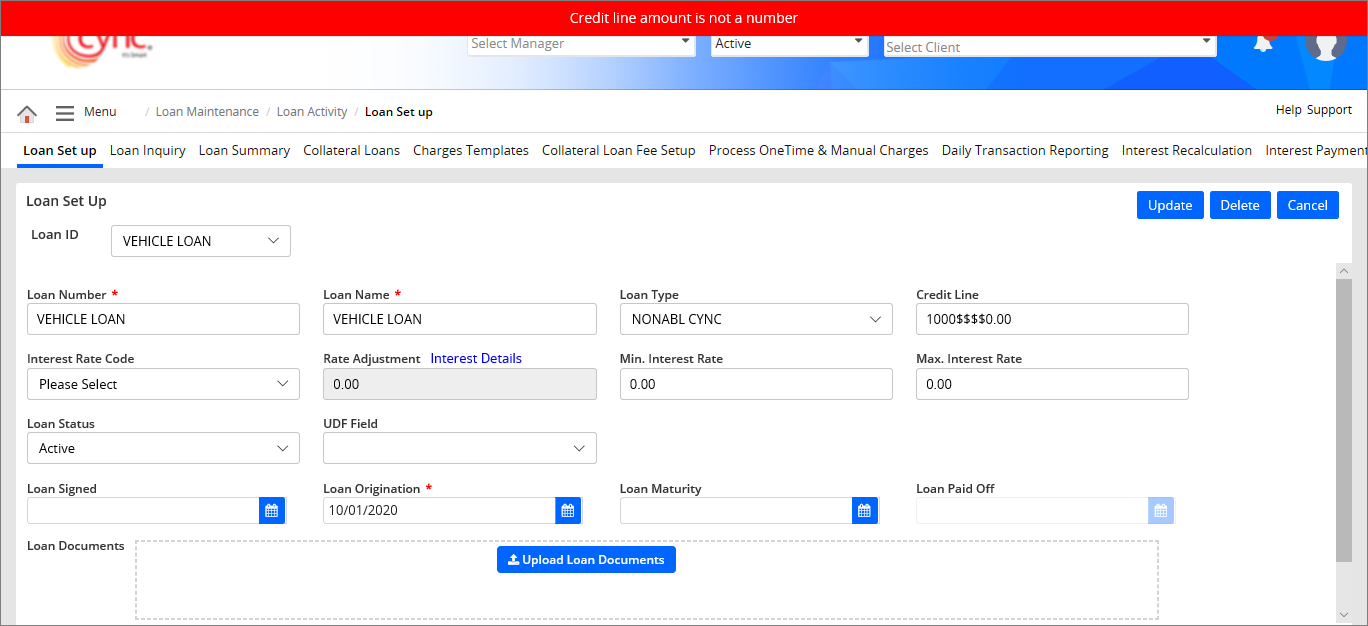 Validation - Credit line amount is not a number