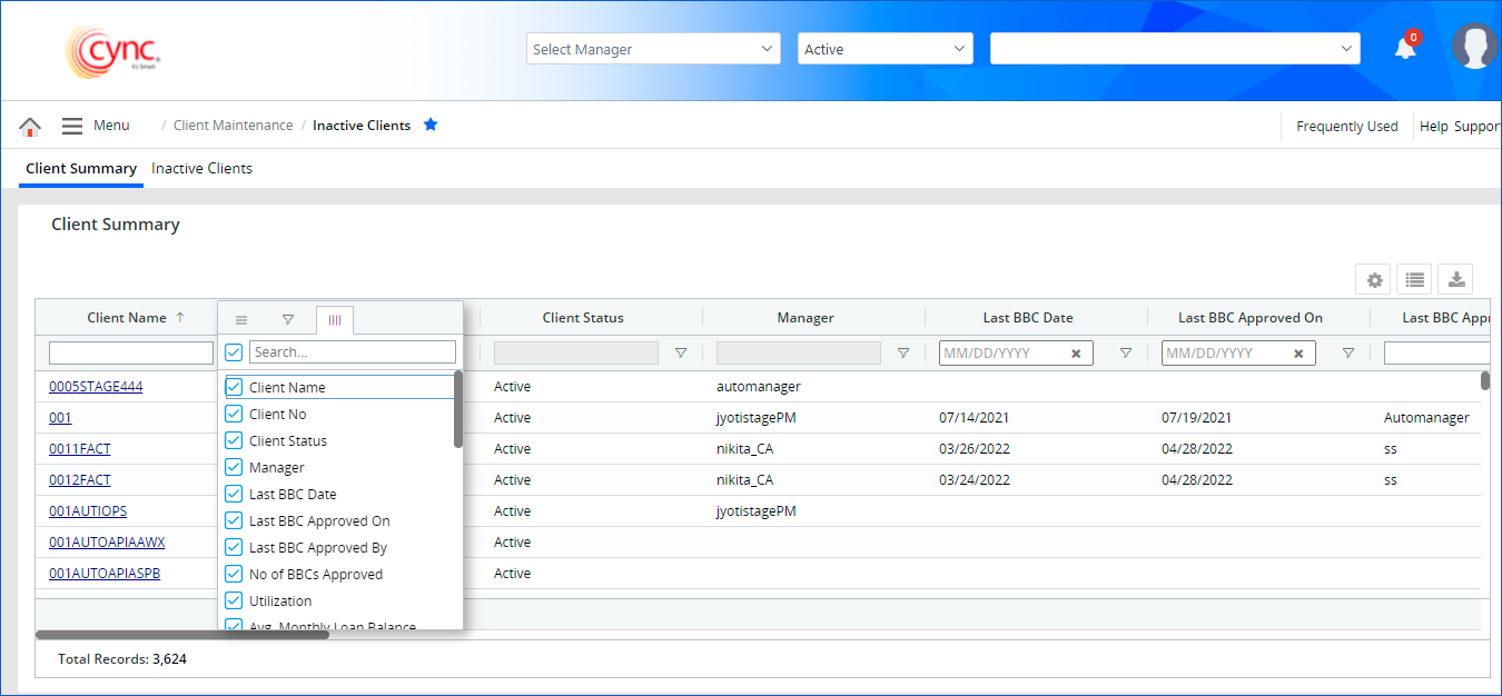 Client summary - Filter fields in the grid
