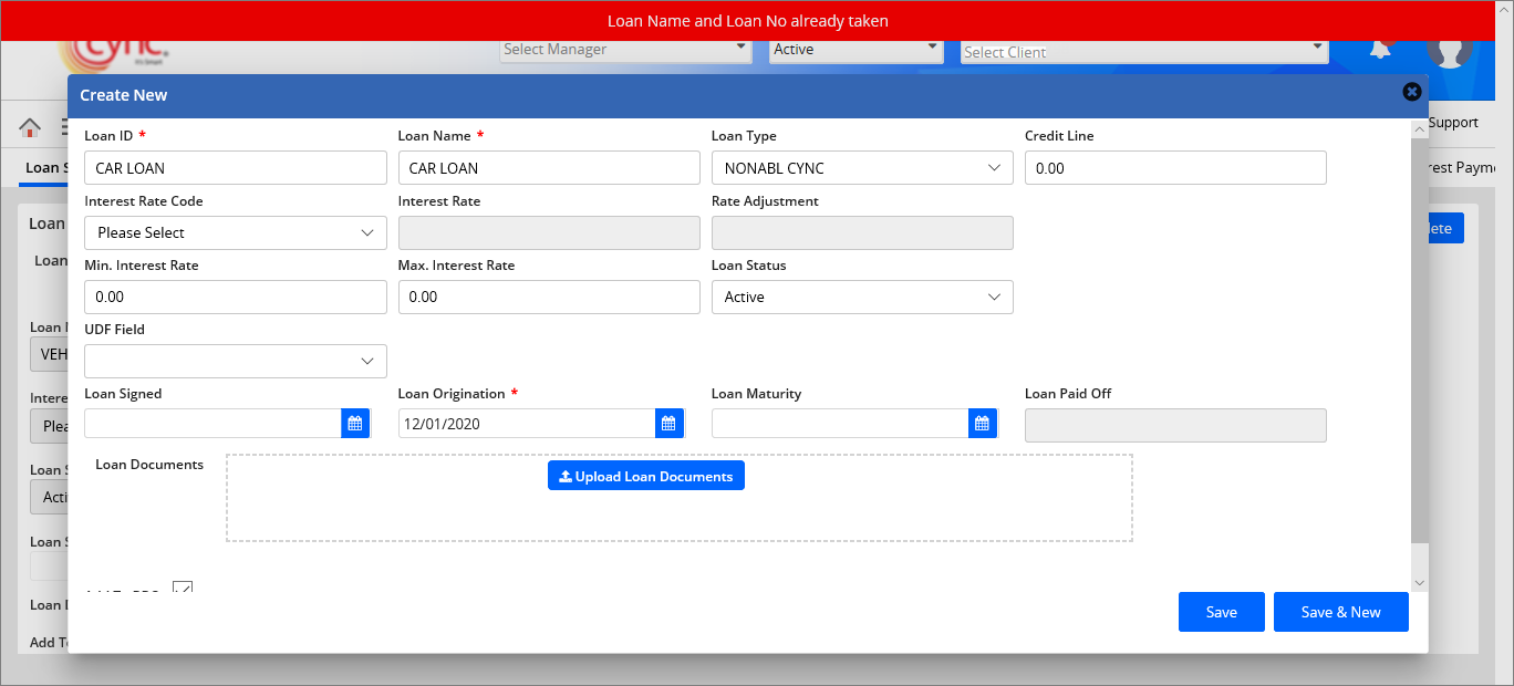 Validation - Loan name and number already in use