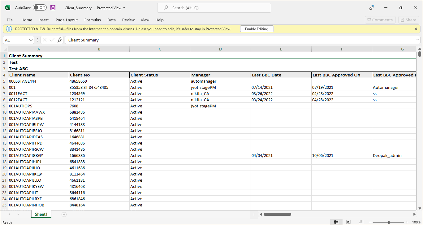 Report - Excel file format