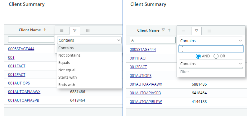 Client Summary Filter pane