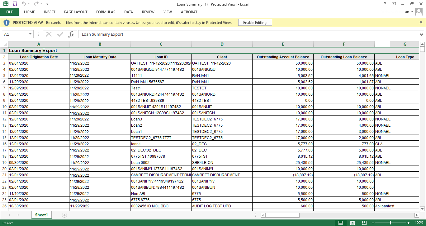 Loan summary report 