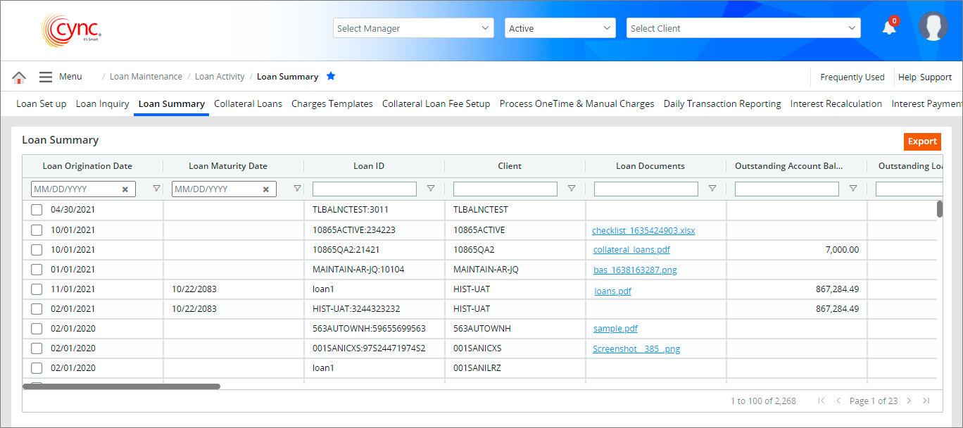 Loan Summary page