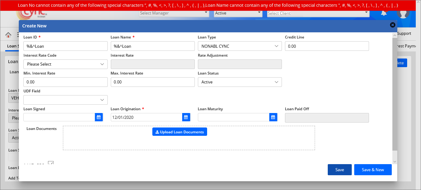 Validation - Loan number shouldn't contain any special char