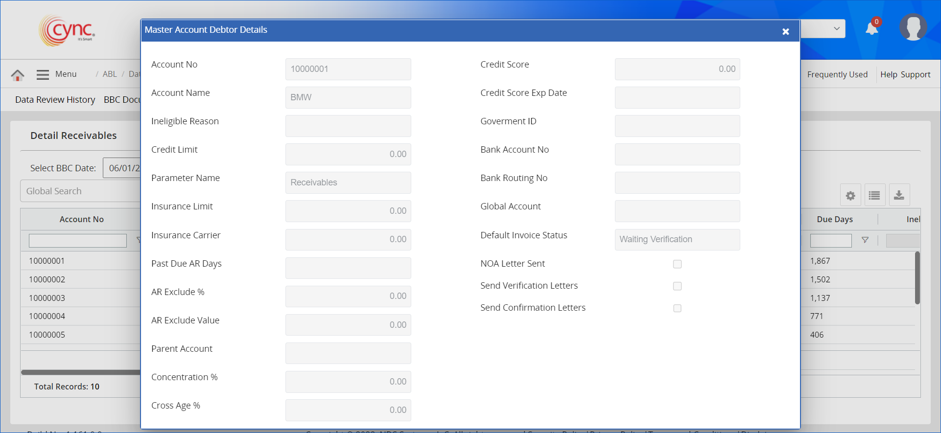 Master Account Debtors Details