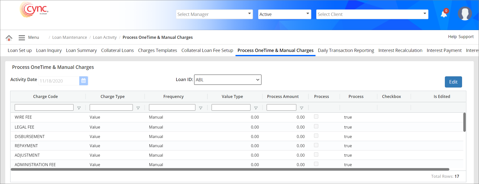 Process One Time and Manual Charges page