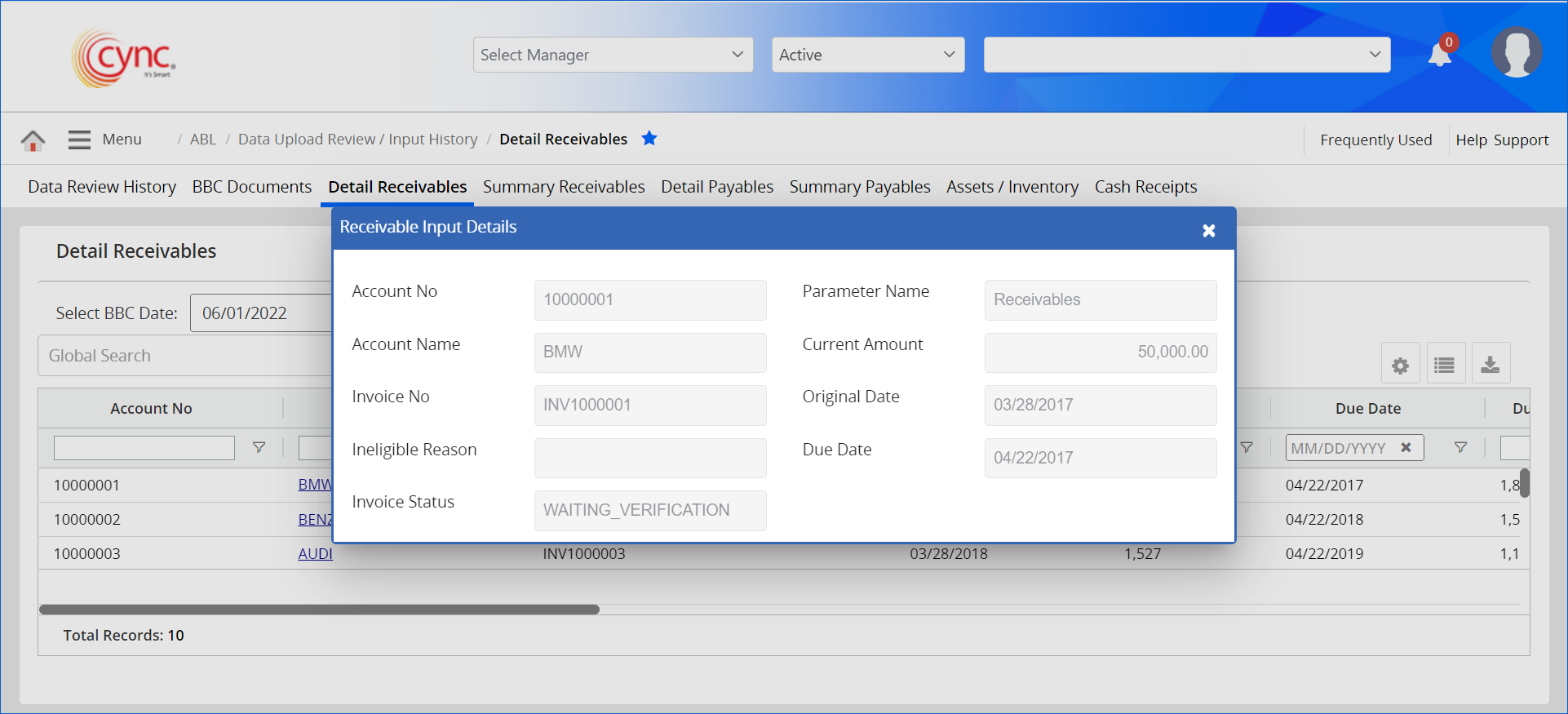 Receivable Input Details add details