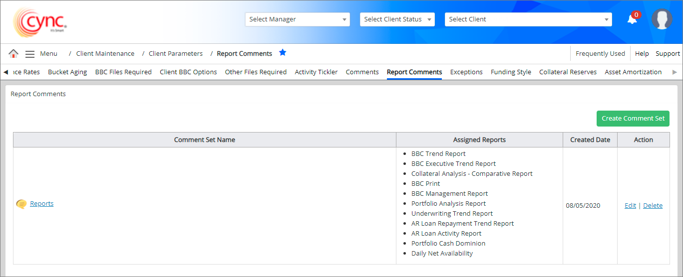 Edit Report Comment Set Section
