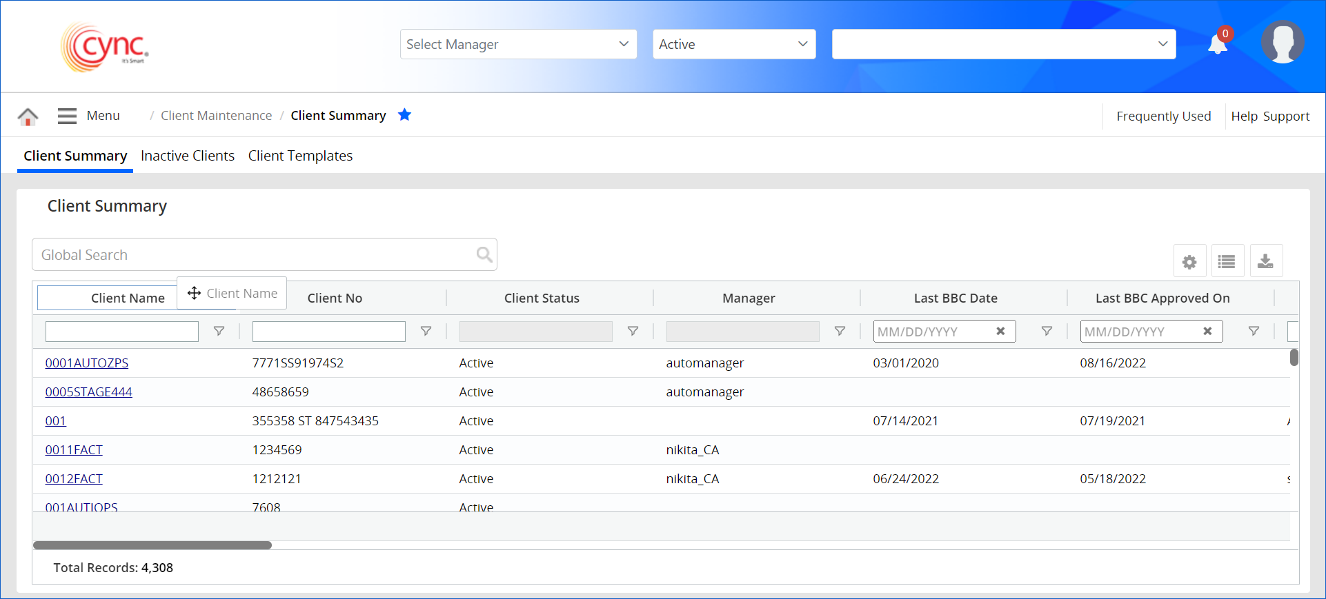 Client Summary page