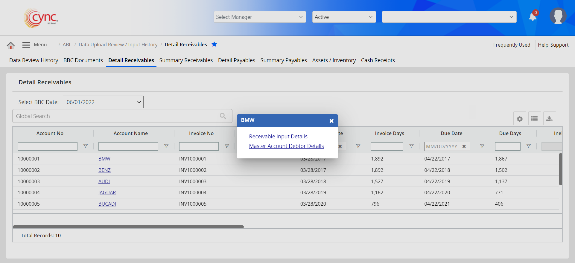 Receivable Input Details 