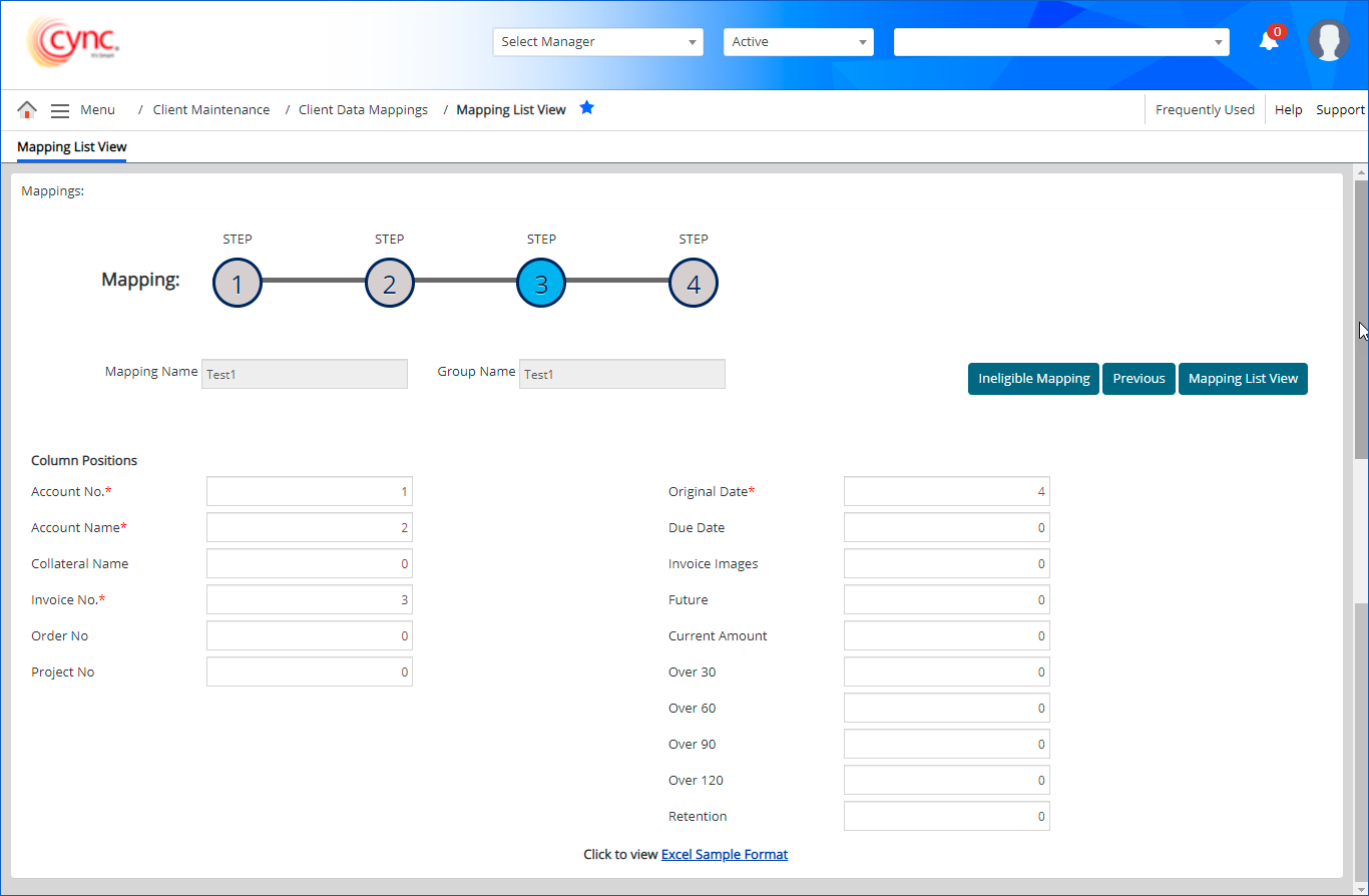 Mapping Assignment section