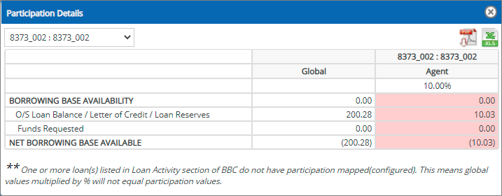 Participation Loan Details